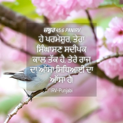 Picture 04 - ਜ਼ਬੂਰ 45:6 PANIRV - ਹੇ ਪਰਮੇਸ਼ੁਰ, ਤੇਰਾ - Bible Verse Picture