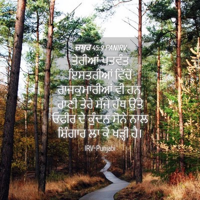 Picture 04 - ਜ਼ਬੂਰ 45:9 PANIRV - ਤੇਰੀਆਂ ਪਤਵੰਤ - Bible Verse Picture