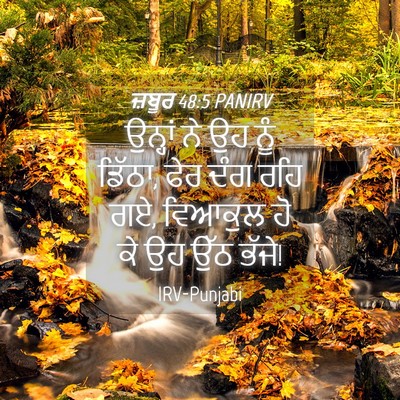 Picture 04 - ਜ਼ਬੂਰ 48:5 PANIRV - ਉਨ੍ਹਾਂ ਨੇ ਉਹ ਨੂੰ - Bible Verse Picture