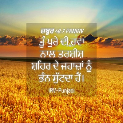 Picture 04 - ਜ਼ਬੂਰ 48:7 PANIRV - ਤੂੰ ਪੁਰੇ ਦੀ ਹਵਾ ਨਾਲ - Bible Verse Picture