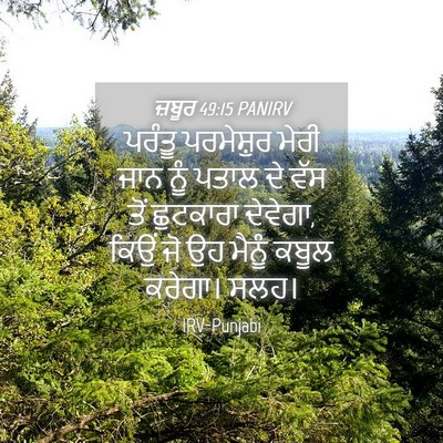 Picture 04 - ਜ਼ਬੂਰ 49:15 PANIRV - ਪਰੰਤੂ ਪਰਮੇਸ਼ੁਰ - Bible Verse Picture