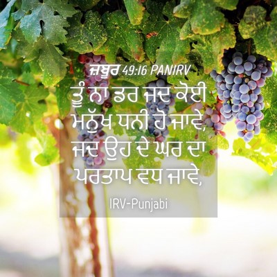 Picture 04 - ਜ਼ਬੂਰ 49:16 PANIRV - ਤੂੰ ਨਾ ਡਰ ਜਦ ਕੋਈ - Bible Verse Picture