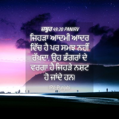 Picture 04 - ਜ਼ਬੂਰ 49:20 PANIRV - ਜਿਹੜਾ ਆਦਮੀ ਆਦਰ - Bible Verse Picture