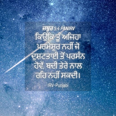 Picture 04 - ਜ਼ਬੂਰ 5:4 PANIRV - ਕਿਉਂਕਿ ਤੂੰ ਅਜਿਹਾ - Bible Verse Picture