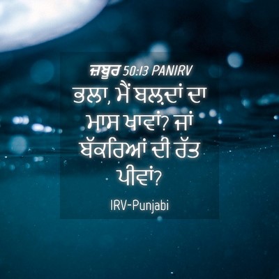 Picture 04 - ਜ਼ਬੂਰ 50:13 PANIRV - ਭਲਾ, ਮੈਂ ਬਲ਼ਦਾਂ ਦਾ - Bible Verse Picture