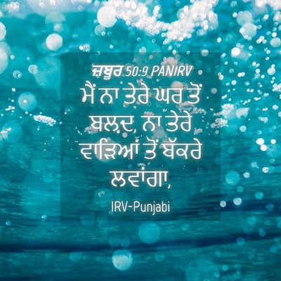 Picture 04 - ਜ਼ਬੂਰ 50:9 PANIRV - ਮੈਂ ਨਾ ਤੇਰੇ ਘਰ ਤੋਂ - Bible Verse Picture