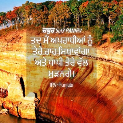 Picture 04 - ਜ਼ਬੂਰ 51:13 PANIRV - ਤਦ ਮੈਂ ਅਪਰਾਧੀਆਂ - Bible Verse Picture
