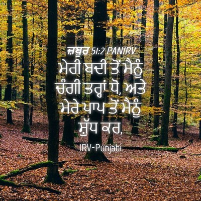 Picture 04 - ਜ਼ਬੂਰ 51:2 PANIRV - ਮੇਰੀ ਬਦੀ ਤੋਂ ਮੈਨੂੰ - Bible Verse Picture