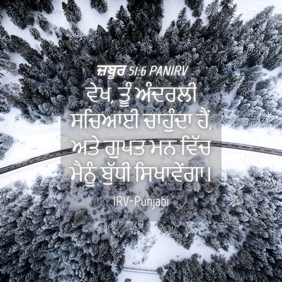 Picture 04 - ਜ਼ਬੂਰ 51:6 PANIRV - ਵੇਖ, ਤੂੰ ਅੰਦਰਲੀ - Bible Verse Picture