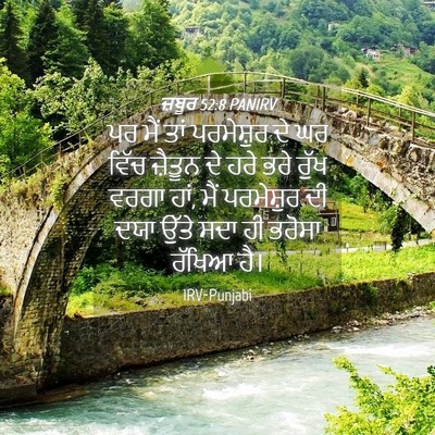 Picture 04 - ਜ਼ਬੂਰ 52:8 PANIRV - ਪਰ ਮੈਂ ਤਾਂ - Bible Verse Picture