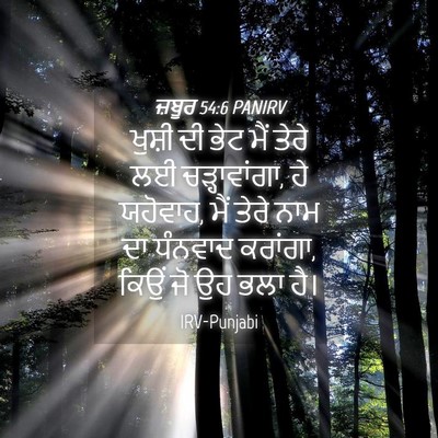 Picture 04 - ਜ਼ਬੂਰ 54:6 PANIRV - ਖੁਸ਼ੀ ਦੀ ਭੇਟ ਮੈਂ - Bible Verse Picture