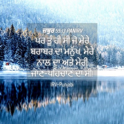 Picture 04 - ਜ਼ਬੂਰ 55:13 PANIRV - ਪਰ ਤੂੰ ਹੀ ਸੀ ਜੋ - Bible Verse Picture