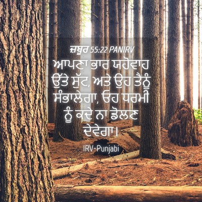 Picture 04 - ਜ਼ਬੂਰ 55:22 PANIRV - ਆਪਣਾ ਭਾਰ ਯਹੋਵਾਹ - Bible Verse Picture