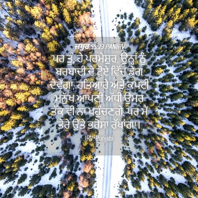 Picture 04 - ਜ਼ਬੂਰ 55:23 PANIRV - ਪਰ ਤੂੰ, ਹੇ - Bible Verse Picture