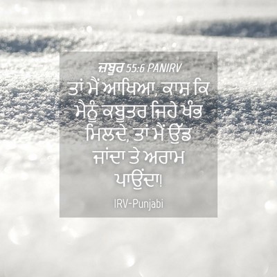 Picture 04 - ਜ਼ਬੂਰ 55:6 PANIRV - ਤਾਂ ਮੈਂ ਆਖਿਆ, ਕਾਸ਼ - Bible Verse Picture