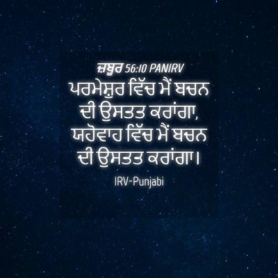 Picture 04 - ਜ਼ਬੂਰ 56:10 PANIRV - ਪਰਮੇਸ਼ੁਰ ਵਿੱਚ ਮੈਂ - Bible Verse Picture