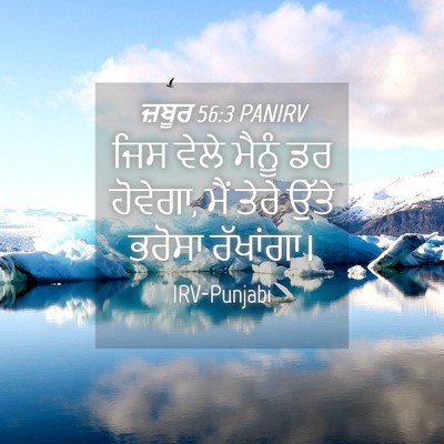 Picture 04 - ਜ਼ਬੂਰ 56:3 PANIRV - ਜਿਸ ਵੇਲੇ ਮੈਨੂੰ ਡਰ - Bible Verse Picture