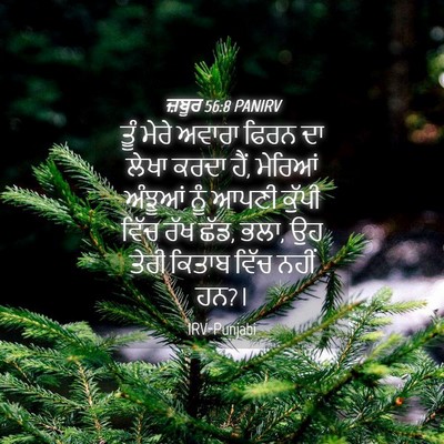 Picture 04 - ਜ਼ਬੂਰ 56:8 PANIRV - ਤੂੰ ਮੇਰੇ ਅਵਾਰਾ - Bible Verse Picture