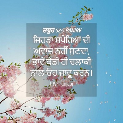Picture 04 - ਜ਼ਬੂਰ 58:5 PANIRV - ਜਿਹੜਾ ਸਪੇਰਿਆਂ ਦੀ - Bible Verse Picture