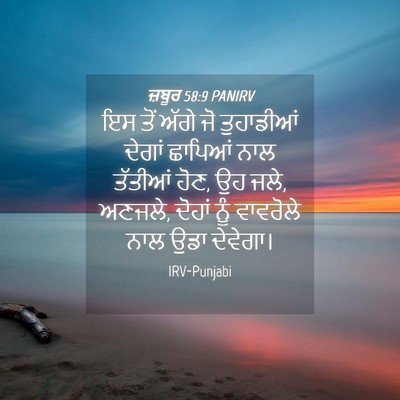 Picture 04 - ਜ਼ਬੂਰ 58:9 PANIRV - ਇਸ ਤੋਂ ਅੱਗੇ ਜੋ - Bible Verse Picture