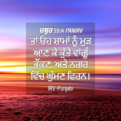 Picture 04 - ਜ਼ਬੂਰ 59:14 PANIRV - ਤਾਂ ਓਹ ਸ਼ਾਮਾਂ ਨੂੰ - Bible Verse Picture