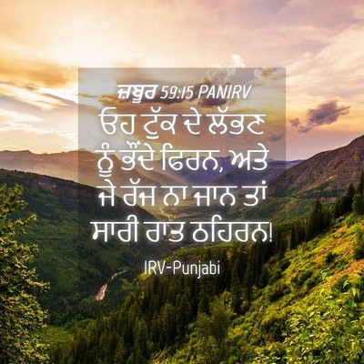 Picture 04 - ਜ਼ਬੂਰ 59:15 PANIRV - ਓਹ ਟੁੱਕ ਦੇ ਲੱਭਣ ਨੂੰ - Bible Verse Picture