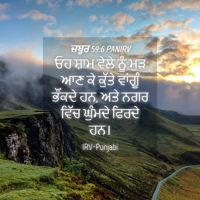 Picture 04 - ਜ਼ਬੂਰ 59:6 PANIRV - ਓਹ ਸ਼ਾਮ ਵੇਲੇ ਨੂੰ - Bible Verse Picture