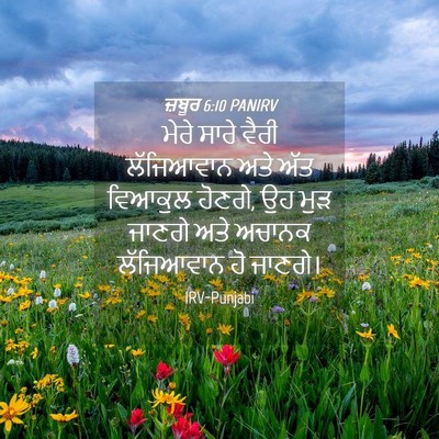 Picture 04 - ਜ਼ਬੂਰ 6:10 PANIRV - ਮੇਰੇ ਸਾਰੇ ਵੈਰੀ - Bible Verse Picture