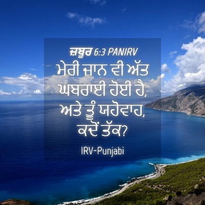 Picture 04 - ਜ਼ਬੂਰ 6:3 PANIRV - ਮੇਰੀ ਜਾਨ ਵੀ ਅੱਤ - Bible Verse Picture