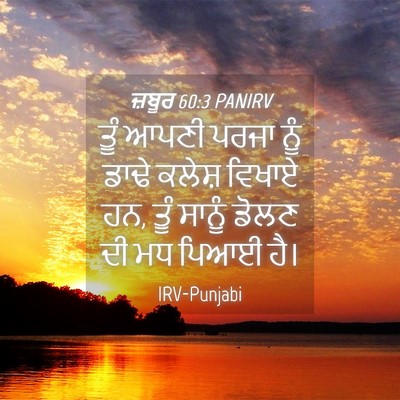 Picture 04 - ਜ਼ਬੂਰ 60:3 PANIRV - ਤੂੰ ਆਪਣੀ ਪਰਜਾ ਨੂੰ - Bible Verse Picture
