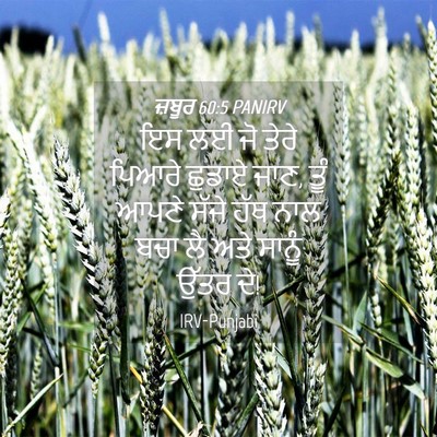 Picture 04 - ਜ਼ਬੂਰ 60:5 PANIRV - ਇਸ ਲਈ ਜੋ ਤੇਰੇ ਪਿਆਰੇ - Bible Verse Picture