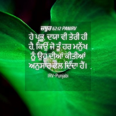 Picture 04 - ਜ਼ਬੂਰ 62:12 PANIRV - ਹੇ ਪ੍ਰਭੂ, ਦਯਾ ਵੀ - Bible Verse Picture