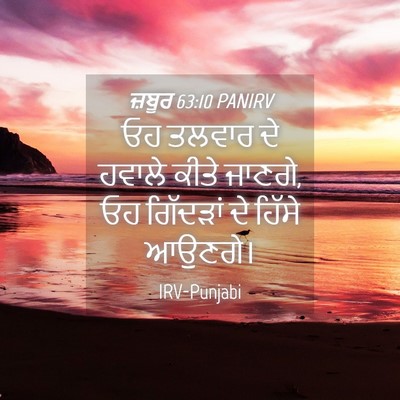 Picture 04 - ਜ਼ਬੂਰ 63:10 PANIRV - ਓਹ ਤਲਵਾਰ ਦੇ ਹਵਾਲੇ - Bible Verse Picture