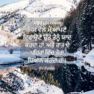 Picture 04 - ਜ਼ਬੂਰ 63:6 PANIRV - ਜਿਸ ਵੇਲੇ ਮੈਂ ਆਪਣੇ - Bible Verse Picture