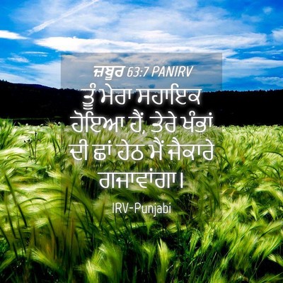 Picture 04 - ਜ਼ਬੂਰ 63:7 PANIRV - ਤੂੰ ਮੇਰਾ ਸਹਾਇਕ - Bible Verse Picture