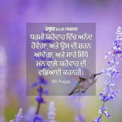 Picture 04 - ਜ਼ਬੂਰ 64:10 PANIRV - ਧਰਮੀ ਯਹੋਵਾਹ ਵਿੱਚ - Bible Verse Picture