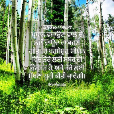 Picture 04 - ਜ਼ਬੂਰ 65:1 PANIRV - ਪ੍ਰਧਾਨ ਵਜਾਉਣ ਵਾਲੇ - Bible Verse Picture