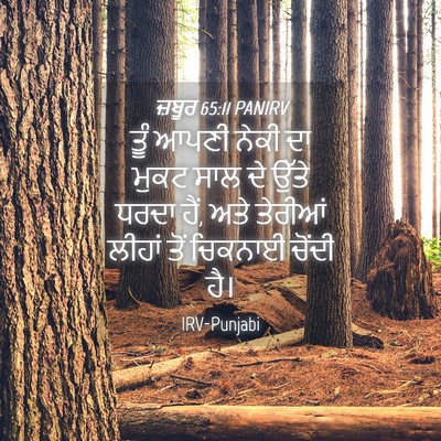 Picture 04 - ਜ਼ਬੂਰ 65:11 PANIRV - ਤੂੰ ਆਪਣੀ ਨੇਕੀ ਦਾ - Bible Verse Picture