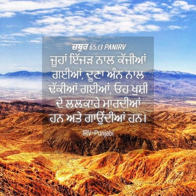 Picture 04 - ਜ਼ਬੂਰ 65:13 PANIRV - ਜੂਹਾਂ ਇੱਜੜ ਨਾਲ - Bible Verse Picture