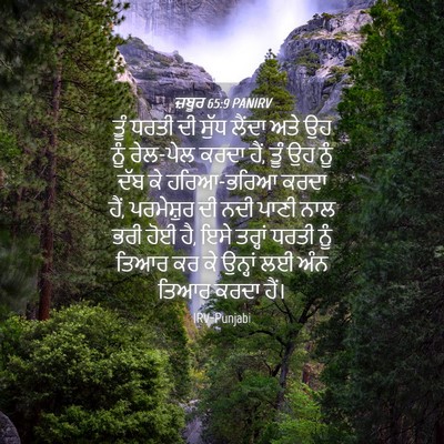 Picture 04 - ਜ਼ਬੂਰ 65:9 PANIRV - ਤੂੰ ਧਰਤੀ ਦੀ ਸੁੱਧ - Bible Verse Picture