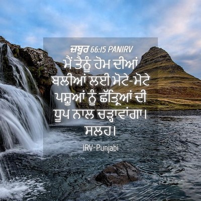 Picture 04 - ਜ਼ਬੂਰ 66:15 PANIRV - ਮੈਂ ਤੈਨੂੰ ਹੋਮ ਦੀਆਂ - Bible Verse Picture
