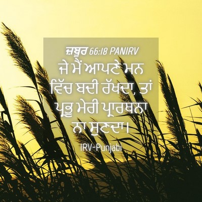 Picture 04 - ਜ਼ਬੂਰ 66:18 PANIRV - ਜੇ ਮੈਂ ਆਪਣੇ ਮਨ ਵਿੱਚ - Bible Verse Picture