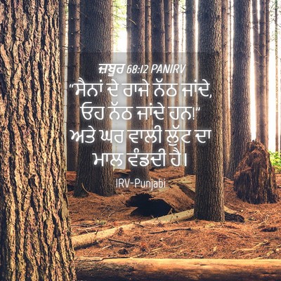 Picture 04 - ਜ਼ਬੂਰ 68:12 PANIRV - “ਸੈਨਾਂ ਦੇ ਰਾਜੇ ਨੱਠ - Bible Verse Picture