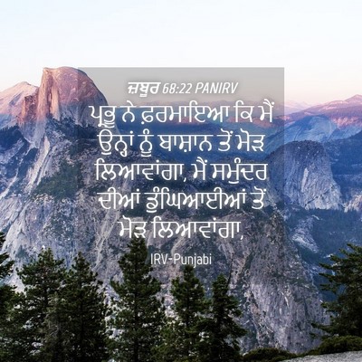 Picture 04 - ਜ਼ਬੂਰ 68:22 PANIRV - ਪ੍ਰਭੂ ਨੇ ਫ਼ਰਮਾਇਆ - Bible Verse Picture