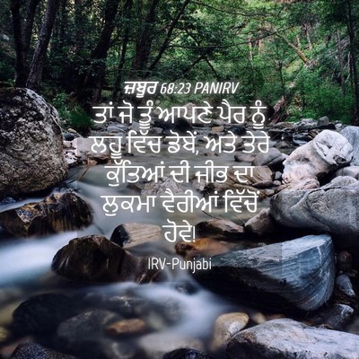 Picture 04 - ਜ਼ਬੂਰ 68:23 PANIRV - ਤਾਂ ਜੋ ਤੂੰ ਆਪਣੇ ਪੈਰ - Bible Verse Picture
