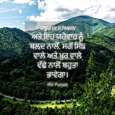Picture 04 - ਜ਼ਬੂਰ 69:31 PANIRV - ਅਤੇ ਇਹ ਯਹੋਵਾਹ ਨੂੰ - Bible Verse Picture