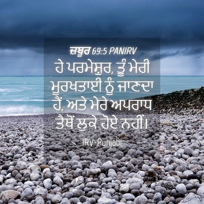 Picture 04 - ਜ਼ਬੂਰ 69:5 PANIRV - ਹੇ ਪਰਮੇਸ਼ੁਰ, ਤੂੰ - Bible Verse Picture