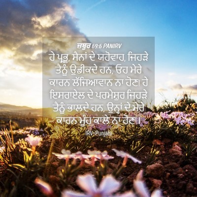 Picture 04 - ਜ਼ਬੂਰ 69:6 PANIRV - ਹੇ ਪ੍ਰਭੂ, ਸੈਨਾਂ ਦੇ - Bible Verse Picture