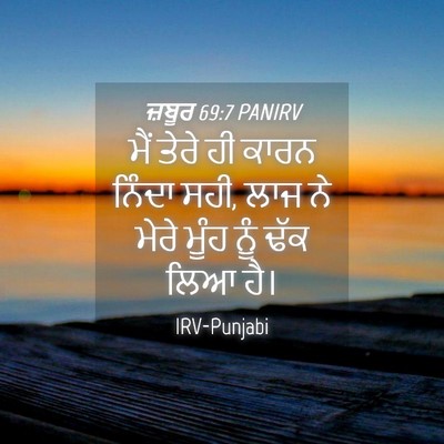 Picture 04 - ਜ਼ਬੂਰ 69:7 PANIRV - ਮੈਂ ਤੇਰੇ ਹੀ ਕਾਰਨ - Bible Verse Picture