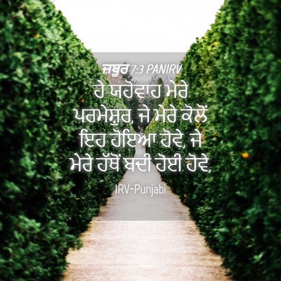 Picture 04 - ਜ਼ਬੂਰ 7:3 PANIRV - ਹੇ ਯਹੋਵਾਹ ਮੇਰੇ - Bible Verse Picture